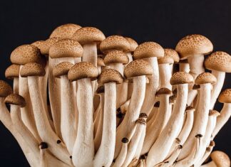 Czy wydruk cukrowy jest jadalny? Czy wydruk cukrowy jest jadalny?