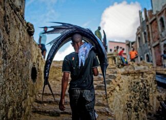 Jak znosić psa po schodach?