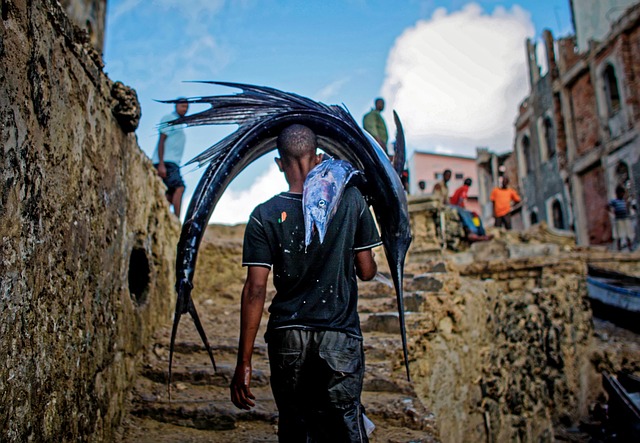 Jak znosić psa po schodach? Jak znosić psa po schodach?