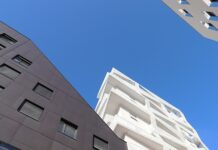 Jakimi liniami lotniczymi z psem?