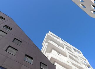 Jakimi liniami lotniczymi z psem?