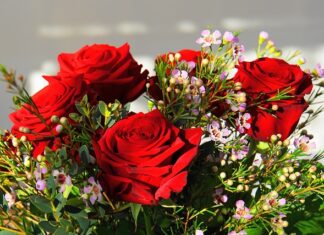 Ile kosztuje najdroższy grzyb w Polsce?