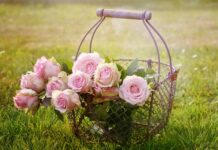 Kto odpowiada za Kosze uliczne?