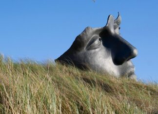 Jak uspokoić kota w samochodzie? Jak uspokoić kota w samochodzie?