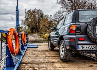 Jak przewozić psa przepisy? Jak przewozić psa przepisy?