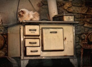 Czy można wędzić drewnem z korą? Czy można wędzić drewnem z korą?