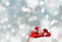 Co lepsze dla kota transporter czy torba?