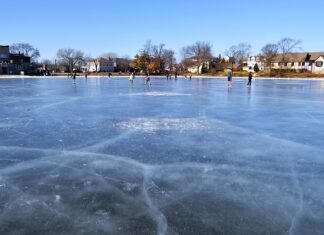 Czy ptasznik zabije człowieka? Czy ptasznik zabije człowieka?