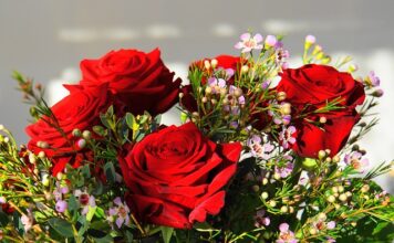 Jak nazywa się najdroższy grzyb świata?