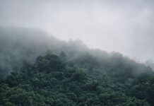 Jak zrobić gęstą czekoladę na gorąco?