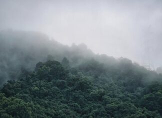 Jak zrobić gęstą czekoladę na gorąco?