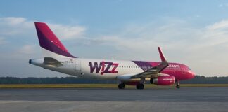 Czy Wizzair przewozi zwierzęta?