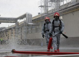 Jak sprawdzić czy to zatrucie grzybami?