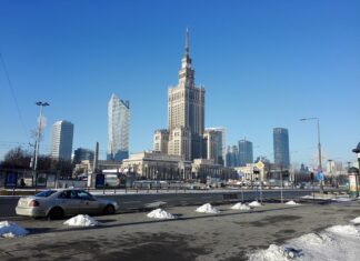 Czy w Polsce są patyczaki? Czy w Polsce są patyczaki?