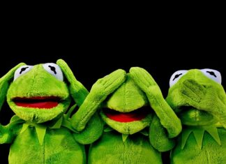 Jakie są gatunki żab w Polsce? Jakie są gatunki żab w Polsce?