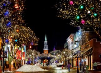 Ile trwa okres u suki?