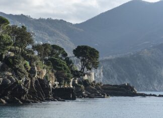 Ile kosztuje 1 cykl zmywania w zmywarce? Ile kosztuje 1 cykl zmywania w zmywarce?