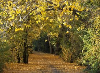 Dlaczego świecą się zapada? Dlaczego świecą się zapada?