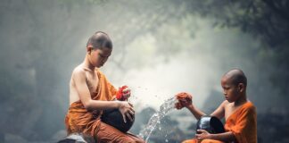 Jaki płyn do czyszczenia zmywarki?