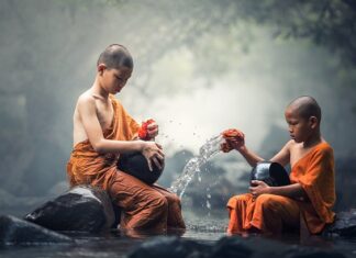 Jaki płyn do czyszczenia zmywarki?