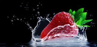 Jak przygotować glebę pod uprawę truskawek? Jak przygotować glebę pod uprawę truskawek?