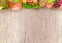 Czy na granicy sprawdzają paszport psa?