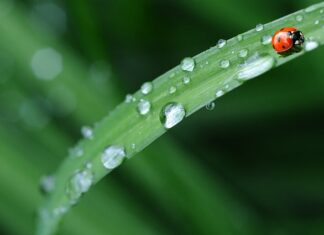 Co zrobić żeby pościel była sztywna? Co zrobić żeby pościel była sztywna?