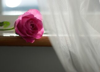 Co zrobić aby firanki były śnieżnobiałe?