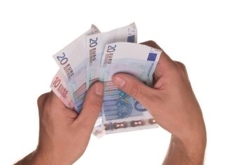 Czy można pożyczyć transporter dla kota?