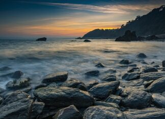 Co to jest śliski gekon? Co to jest śliski gekon?