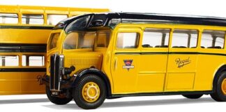 W czym transportować kota?