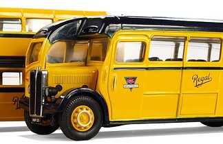 W czym transportować kota?