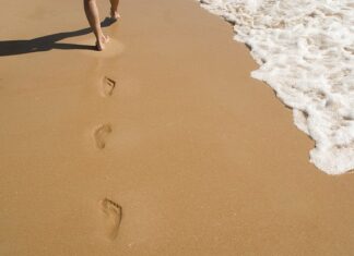 Ile kosztuje wydruk cukrowy? Ile kosztuje wydruk cukrowy?