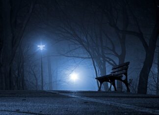 Jakie są polskie słodycze? Jakie są polskie słodycze?