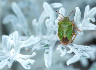 Jak skutecznie pozbyć się smrodu z pralki? Jak skutecznie pozbyć się smrodu z pralki?