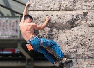 Z czego zrobić ścianki w terrarium?