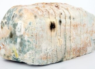 Jak zdezynfekować majtki?