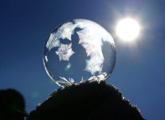 Czy psu jest zimno w nocy?