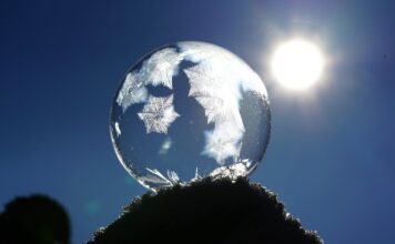 Czy psu jest zimno w nocy?