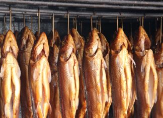 Jak samemu zbudować wędzarnie?